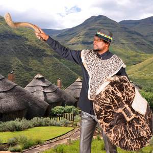 Dinokeng tsa bolla tau