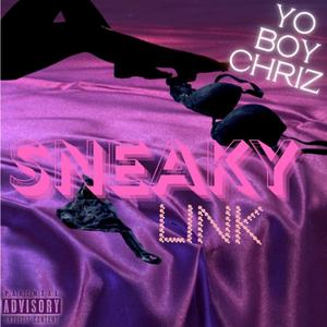 Sneaky Link