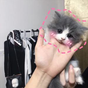 一个人的沙漠 (Demo)