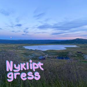 Nyklipt gress