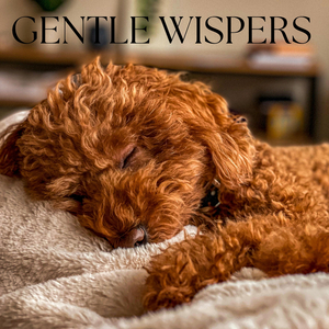 Gentle Whispers