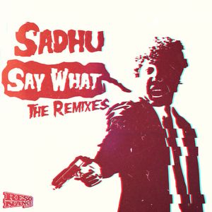 Say What (Addergebroed Remix)