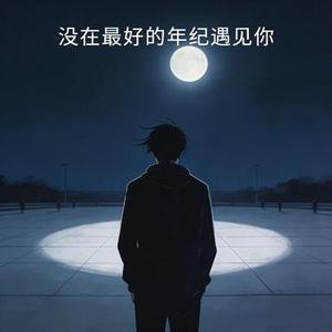 没在最好的年纪遇见你 (Cover 黑子)