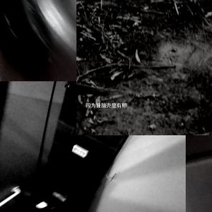 因为我脑壳里有卵