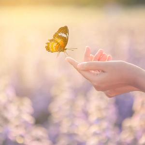 Love in Spring