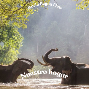 Nuestro hogar