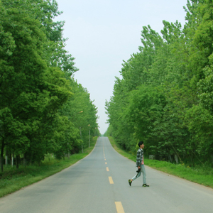 Holiday T-ara (guitar solo) - Mitxi Tòng