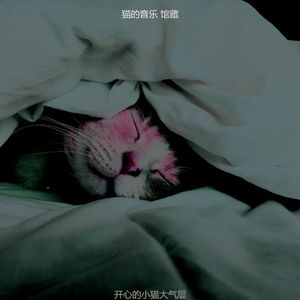 微妙的小猫心情