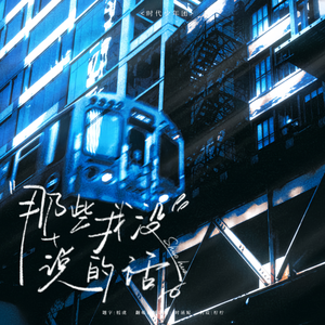 那些我没说的话