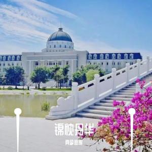 锦忱丹华