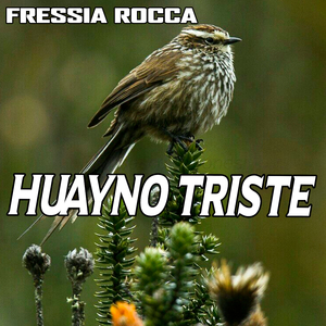 Huayno Triste