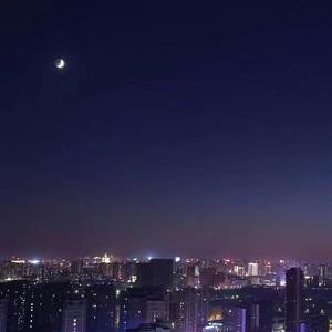 说了再见不说再见 伴奏