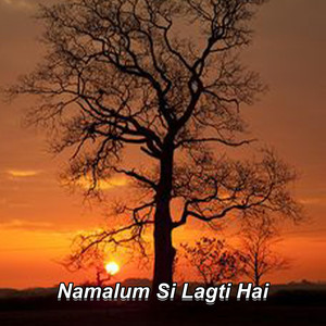 Namalum Si Lagti Hai