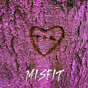 Misfit