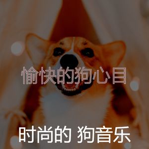 诗意的幼犬节奏