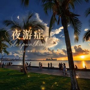 夜游症Sleepwalking