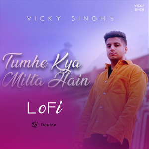 Tumhe Kya Milta Hain (Lofi)