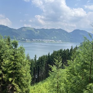 《裂缝》