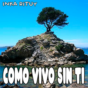 Como Vivo Sin Ti