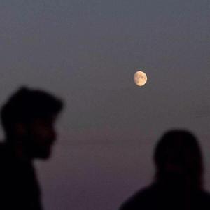 是非题（翻自 张小伙）