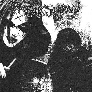 StemsNSeeds (feat. NGS)