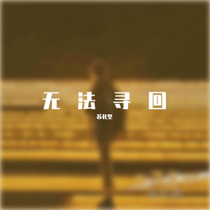 苏礼坚 - 无法寻回  伴奏