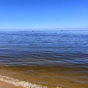 灵动之音的轻舞