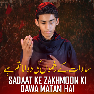 Sadaat Ke Zakhmoon Ki Dawa Matam Hai