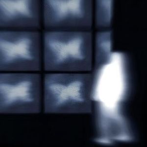 反戴板帽cap backwards