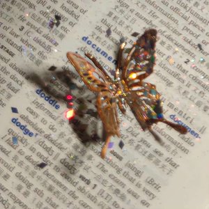 届かない恋 Live at Campus Fes