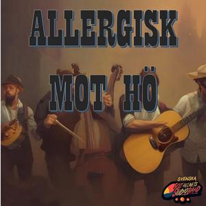 Allergisk mot hö