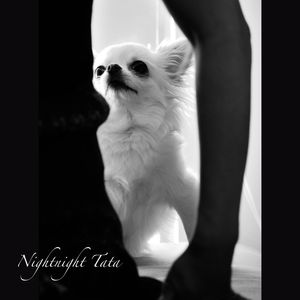 Nightnight Tata