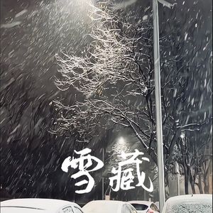 雪藏