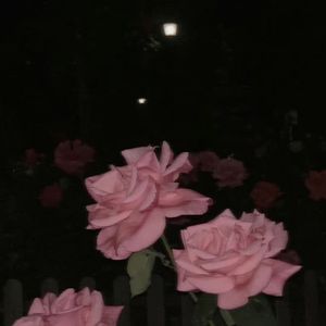 Sleepwalker（remix）