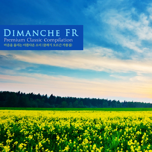 Toccata and Fugue In D Minor BWV.565 - II