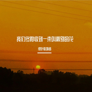 我们终将收到一束叫离别的花