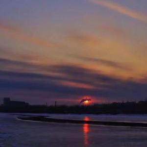 感情又痛又享受