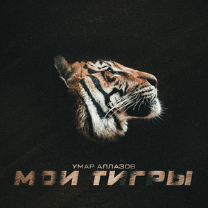 Мои тигры