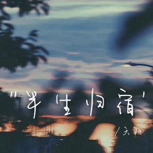 半生归宿（回忆版）