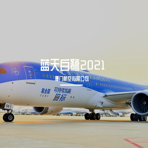 蓝天白鹭2021