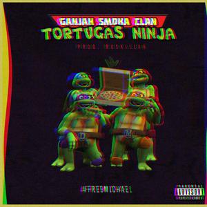 Tortugas Ninja