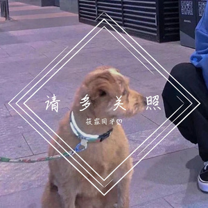 请多关照（Prod by.BECU BEATZ）
