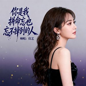 你是我拼命忘也忘不掉的人