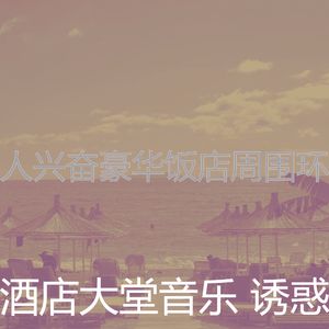 优美酒店酒吧器乐