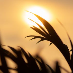 铁血丹心（二胡版）