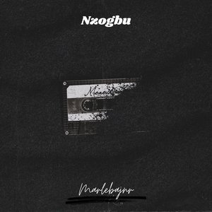 Nzogbu