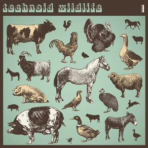 Secret Key (Rasmus Hedlund Remix)