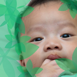 幸せなら手をたたこう