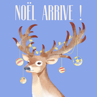 Noël arrive !