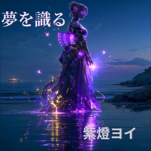 夢を識る